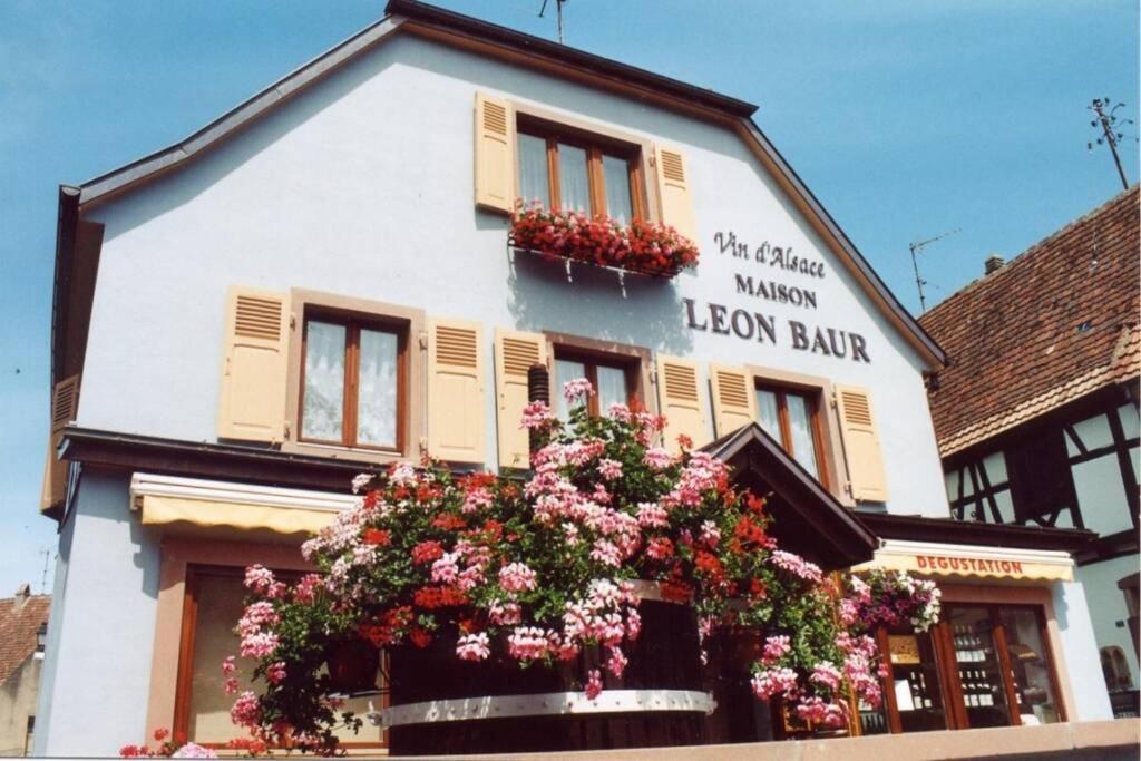 Le Victoria A Eguisheim, 4-6 P, 3Etoiles Vila Exterior foto
